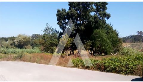 Terreno para construção de moradia isolada em zona habitacional sossegada e apenas a 5 minutos do centro de Oiã. Aproveite esta oportunidade e venha conhecer! Ref.: 1010278/18 GL #ref:1010278/18 GL
