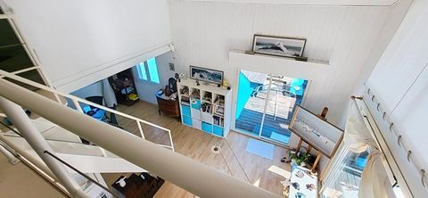 photo no. 7
