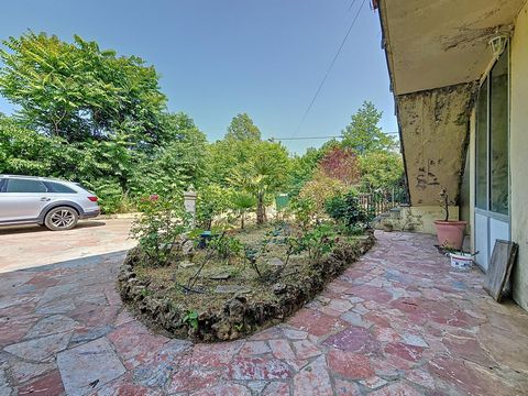 photo no. 17