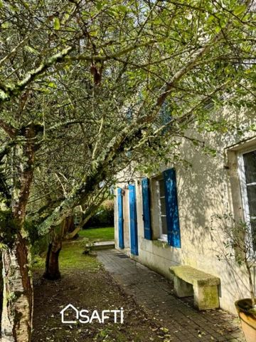 photo no. 11