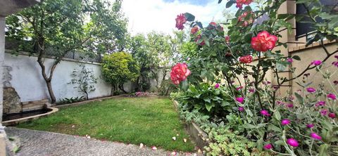 photo no. 14