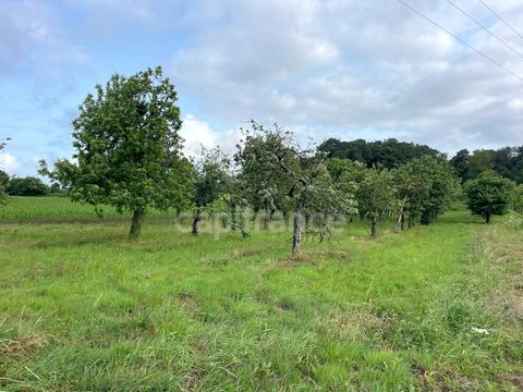 Terrain non constructible 12 000 m² avec verger Nivillac (56130)