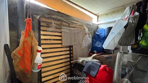 photo no. 12