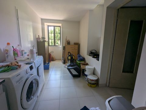 photo no. 12