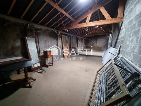 photo no. 11