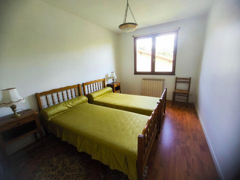 photo no. 8