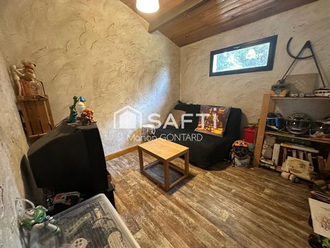 photo no. 15