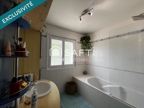 photo no. 11