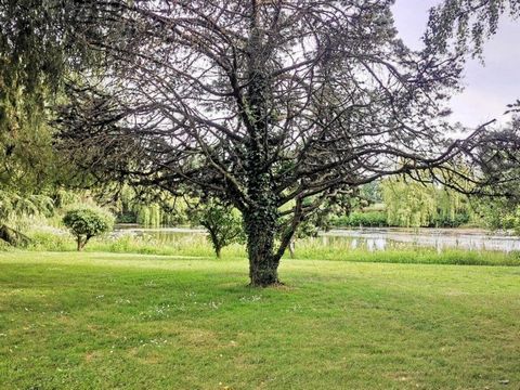 photo no. 10