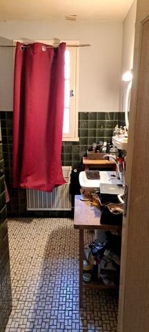 photo no. 19