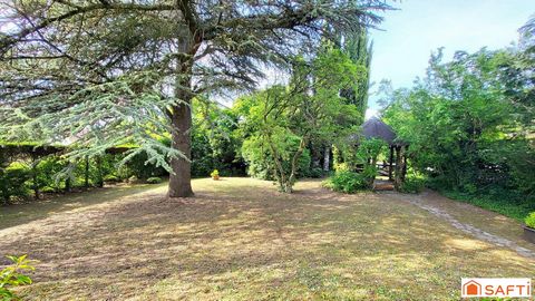 photo no. 18