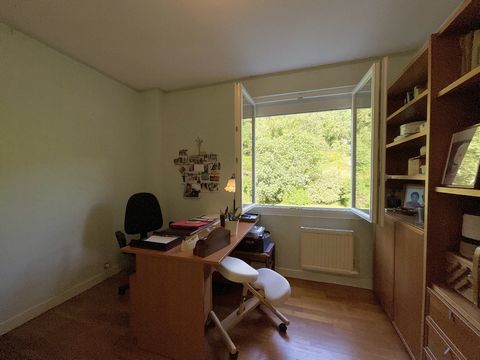 photo no. 7