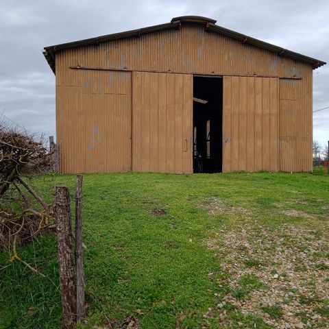 photo no. 1