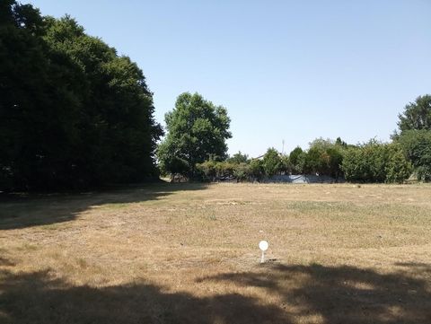 photo no. 1