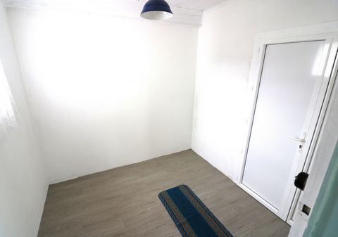 photo no. 6
