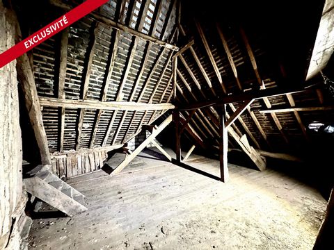 photo no. 10