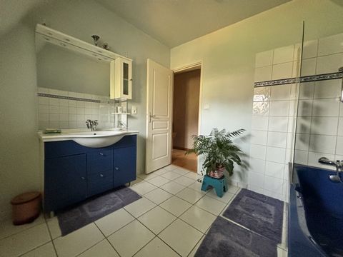 photo no. 15