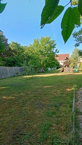 photo no. 13