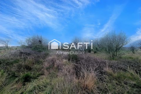 photo no. 2