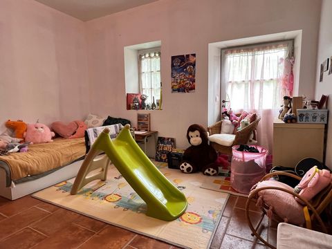 photo no. 7
