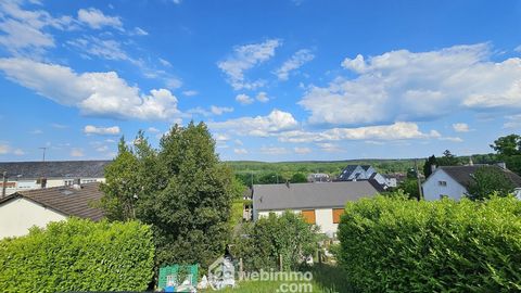 photo no. 12