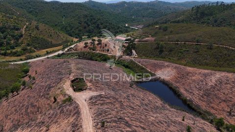 Quinta localizada em Santana da Serra. Casa em ruina inserida num terreno com 69500 m2, 2 barragens . Cultura arvense, oliveiras e sobreiros. Terreno encontra se completamente limpo. Fácil acesso até a propriedade, com poste elétrico no terreno. Dist...
