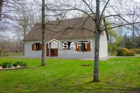 photo no. 11