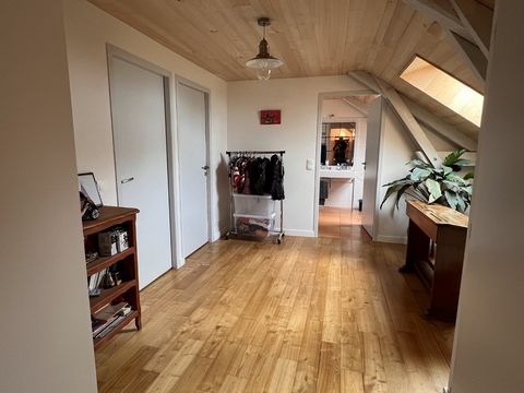 photo no. 21