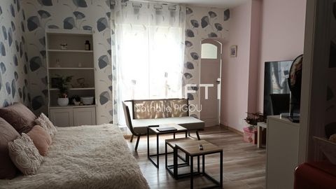 photo no. 8