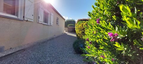 photo no. 12
