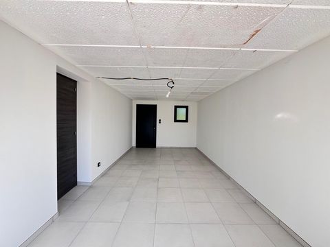 photo no. 6