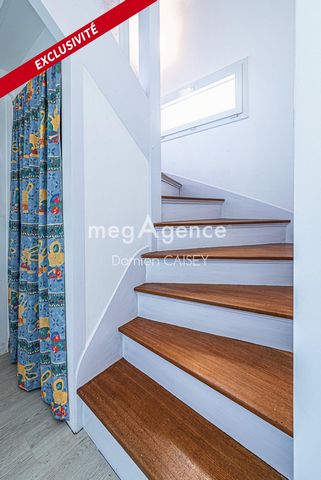 photo no. 6