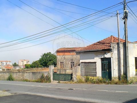 - Magnifico terreno com duas moradias para restauro ou possibilidade de construção em altura (processo em análise), localizado em zona privilegiada de Esmoriz Ovar;   - Brevemente, disponibilizamos mais fotografias e detalhes do imóvel;   - Agende de...