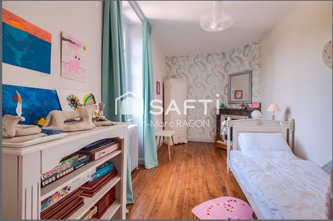 photo no. 11