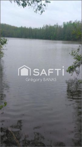 photo no. 2
