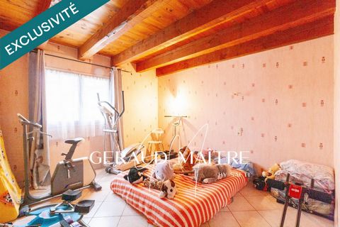 photo no. 16