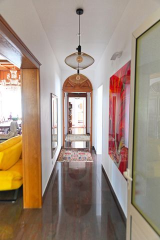 photo no. 13
