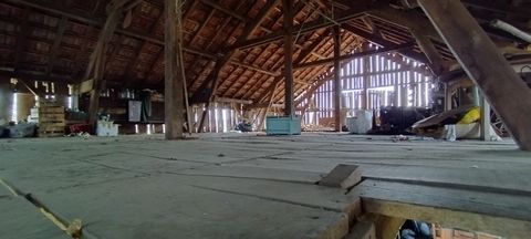photo no. 12