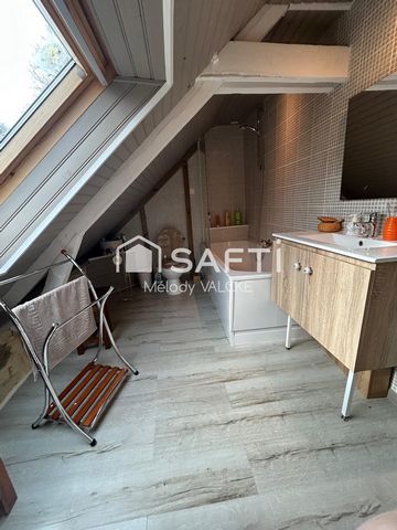 photo no. 10