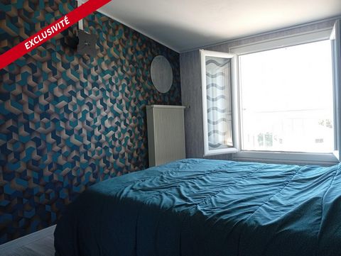 photo no. 12