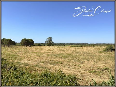 Terrain à vendre de 799 M2 proche de ROUJAN (34)