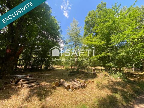 Terrain de loisir, agricole avec verger et forêt