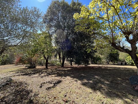 photo no. 14