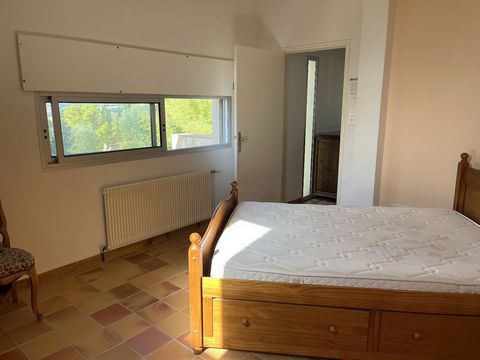photo no. 18