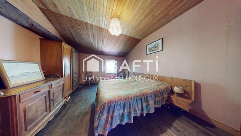 photo no. 11