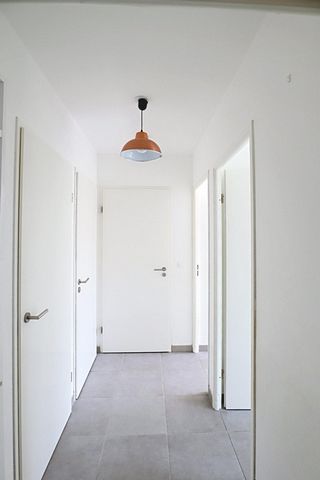 photo no. 7