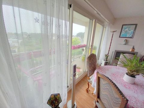 photo no. 7