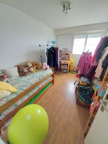 photo no. 11