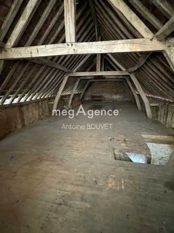photo no. 4