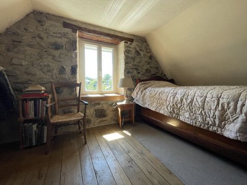 photo no. 6